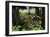 The Rhabdodontid Iguanodont Zalmoxes Robustus-null-Framed Art Print