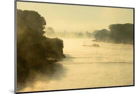 The Rhine, Fog Mood, Sunrise, Speyer, Rhineland-Palatinate, Germany-Ronald Wittek-Mounted Photographic Print