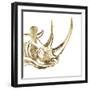 The Rhino-Patricia Pinto-Framed Art Print