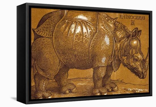 The Rhinoceros, 1515, Pen and Ink, Wash-Albrecht Dürer-Framed Stretched Canvas