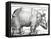 The Rhinoceros, 1515 (Woodcut)-Albrecht Dürer-Framed Stretched Canvas