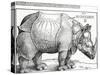 The Rhinoceros, 1515 (Woodcut)-Albrecht Dürer-Stretched Canvas