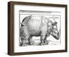The Rhinoceros, 1515 (Woodcut)-Albrecht Dürer-Framed Giclee Print