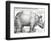 The Rhinoceros, 1515 (Woodcut)-Albrecht Dürer-Framed Giclee Print