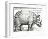 The Rhinoceros, 1515 (Woodcut)-Albrecht Dürer-Framed Giclee Print