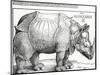 The Rhinoceros, 1515 (Woodcut)-Albrecht Dürer-Mounted Giclee Print