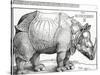 The Rhinoceros, 1515 (Woodcut)-Albrecht Dürer-Stretched Canvas