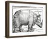 The Rhinoceros, 1515 (Woodcut)-Albrecht Dürer-Framed Giclee Print