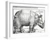 The Rhinoceros, 1515 (Woodcut)-Albrecht Dürer-Framed Giclee Print