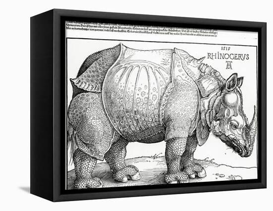The Rhinoceros, 1515 (Woodcut)-Albrecht Dürer-Framed Stretched Canvas
