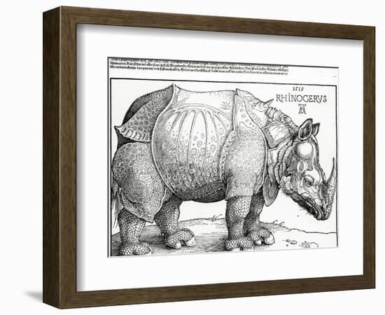 The Rhinoceros, 1515 (Woodcut)-Albrecht Dürer-Framed Premium Giclee Print