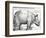 The Rhinoceros, 1515 (Woodcut)-Albrecht Dürer-Framed Premium Giclee Print