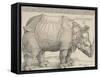 The Rhinoceros, 1515-Albrecht Drer-Framed Stretched Canvas