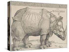 The Rhinoceros, 1515-Albrecht Drer-Stretched Canvas