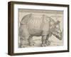 The Rhinoceros, 1515-Albrecht Drer-Framed Giclee Print