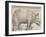 The Rhinoceros, 1515-Albrecht Drer-Framed Giclee Print