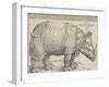 The Rhinoceros, 1515-Albrecht Drer-Framed Giclee Print