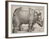 The Rhinoceros, 1515-Albrecht Dürer-Framed Giclee Print