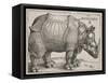 The Rhinoceros, 1515-Albrecht Dürer-Framed Stretched Canvas