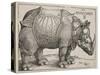 The Rhinoceros, 1515-Albrecht Dürer-Stretched Canvas