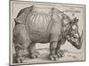 The Rhinoceros, 1515-Albrecht Dürer-Mounted Giclee Print