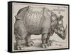 The Rhinoceros, 1515-Albrecht Dürer-Framed Stretched Canvas