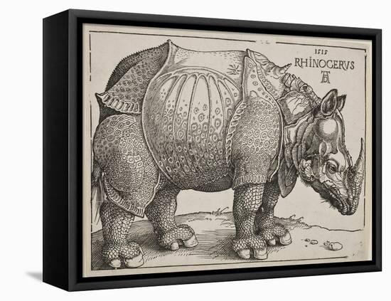 The Rhinoceros, 1515-Albrecht Dürer-Framed Stretched Canvas