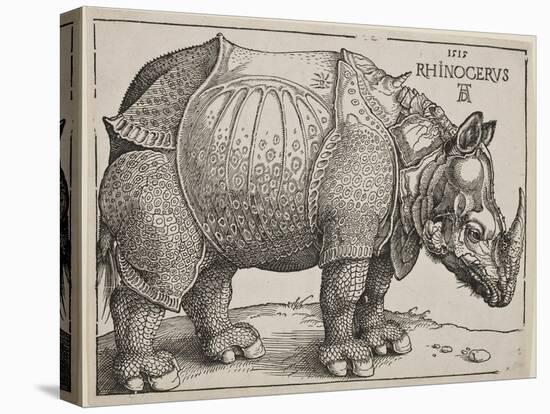 The Rhinoceros, 1515-Albrecht Dürer-Stretched Canvas