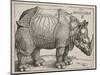 The Rhinoceros, 1515-Albrecht Dürer-Mounted Giclee Print