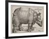 The Rhinoceros, 1515-Albrecht Dürer-Framed Giclee Print