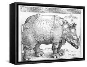 The Rhinoceros, 1515-Albrecht Dürer-Framed Stretched Canvas