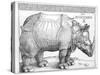 The Rhinoceros, 1515-Albrecht Dürer-Stretched Canvas