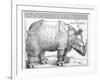 The Rhinoceros, 1515-Albrecht Dürer-Framed Giclee Print