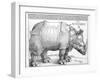 The Rhinoceros, 1515-Albrecht Dürer-Framed Giclee Print