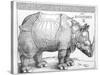 The Rhinoceros, 1515-Albrecht Dürer-Stretched Canvas