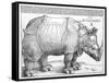 The Rhinoceros, 1515-Frank Cadogan Cowper-Framed Stretched Canvas