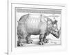 The Rhinoceros, 1515-Frank Cadogan Cowper-Framed Giclee Print