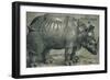 The Rhinoceros, 1515-Albrecht Dürer-Framed Giclee Print