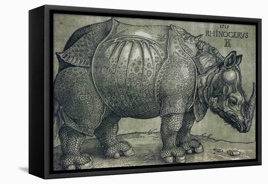 The Rhinoceros, 1515-Albrecht Dürer-Framed Stretched Canvas