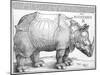 The Rhinoceros, 1515-Frank Cadogan Cowper-Mounted Giclee Print