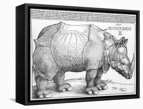 The Rhinoceros, 1515-Frank Cadogan Cowper-Framed Stretched Canvas