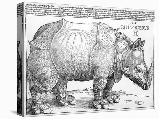 The Rhinoceros, 1515-Frank Cadogan Cowper-Stretched Canvas
