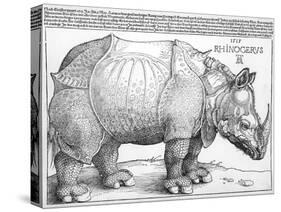 The Rhinoceros, 1515-Frank Cadogan Cowper-Stretched Canvas