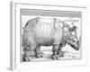 The Rhinoceros, 1515-Frank Cadogan Cowper-Framed Giclee Print