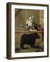 The Rhinoceros, 1751-Pietro Longhi-Framed Giclee Print