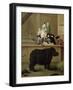 The Rhinoceros, 1751-Pietro Longhi-Framed Giclee Print