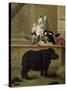 The Rhinoceros, 1751-Pietro Longhi-Stretched Canvas