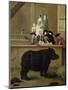The Rhinoceros, 1751-Pietro Longhi-Mounted Giclee Print