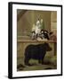 The Rhinoceros, 1751-Pietro Longhi-Framed Giclee Print