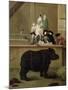 The Rhinoceros, 1751-Pietro Longhi-Mounted Giclee Print